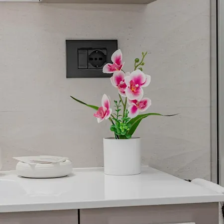 Apartment Volta -